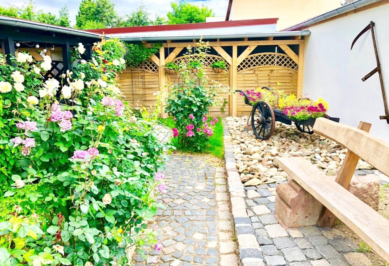 Ferienwohnungen Grimma 4 Extérieur photo